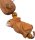 AceCamp Wooden Slingshot for Sport, Hunting and Fishing