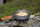 Feast 2 Cookware, Orange