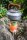 Feast XT1 Kettle, Orange