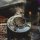 Fire-Maple Antarcti 1 L Stainless Steel Camping Kettle, Outdoor