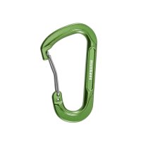 Forged D-shaped Carabiner &ndash; without printed price