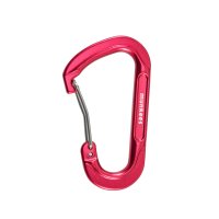 Forged D-shaped Carabiner &ndash; without printed price