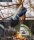 Hand Saw